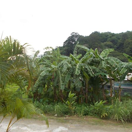 Absolute Calm For Long Sleepers And Others Villa Kamala Beach Exterior photo